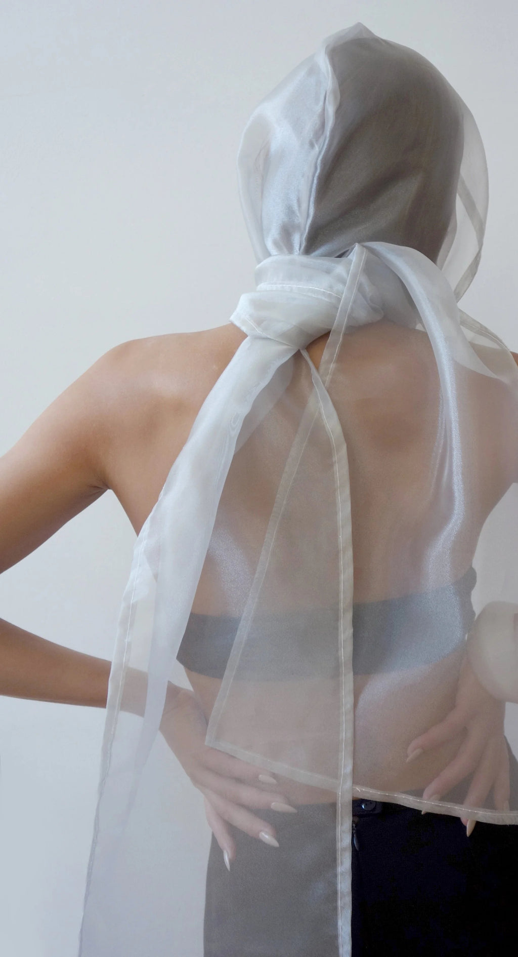 invisible encore scarf/hood