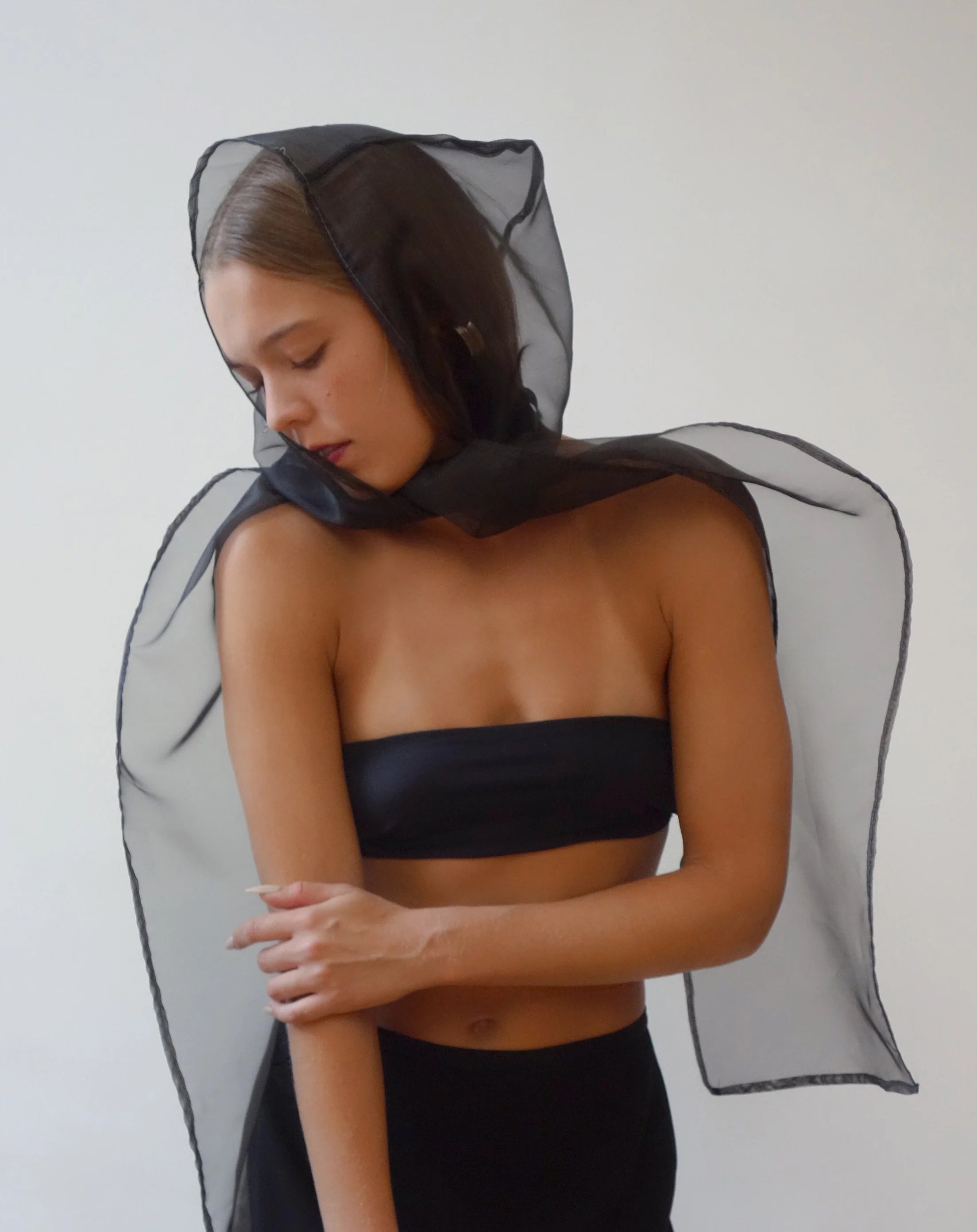 invisible encore scarf/hood
