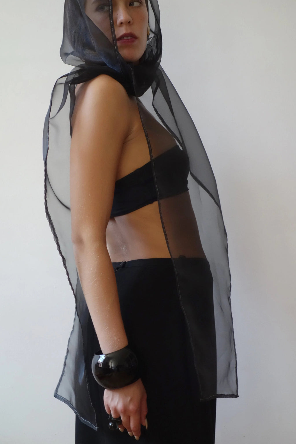 invisible encore scarf/hood