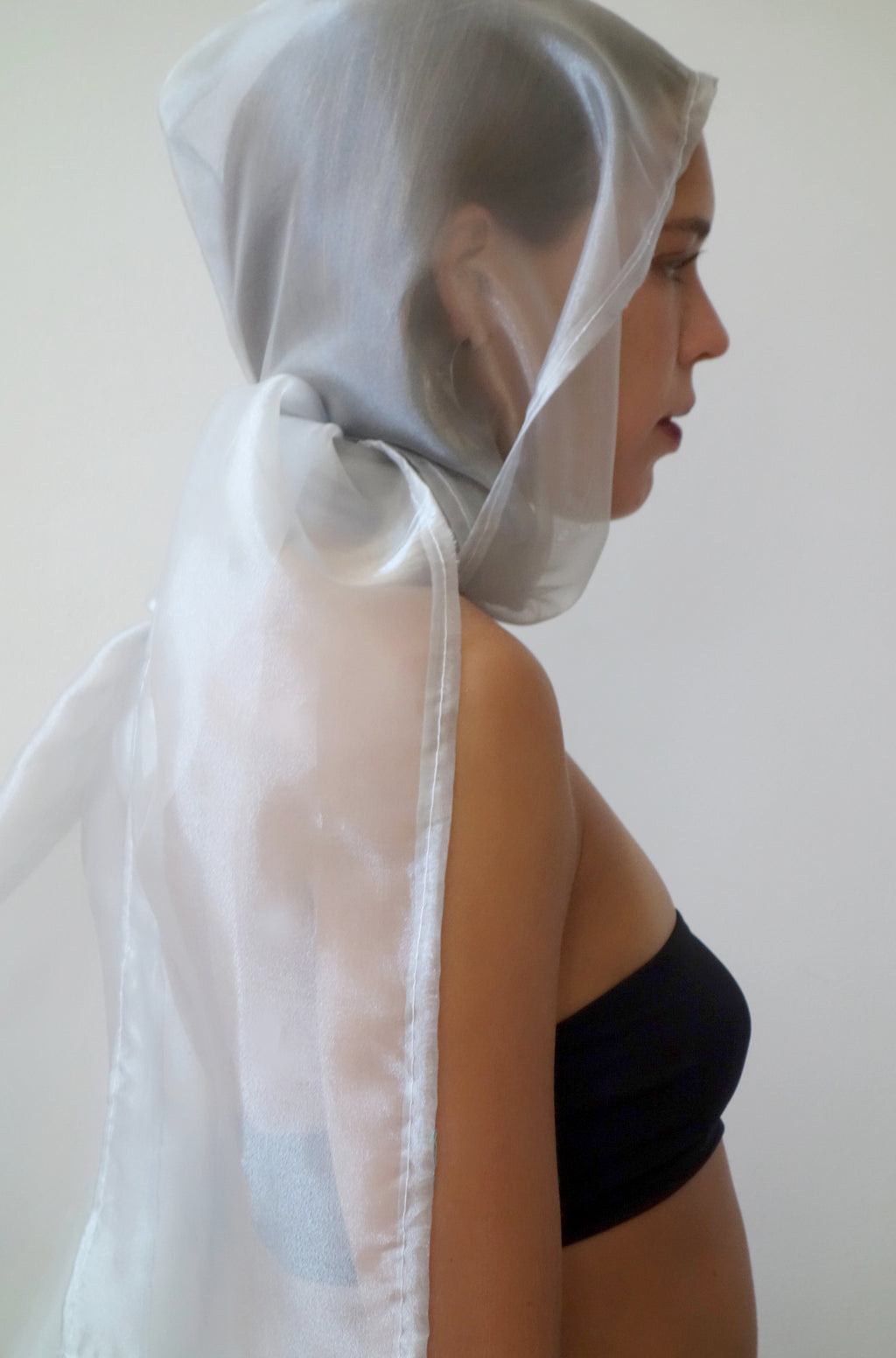 invisible encore scarf/hood