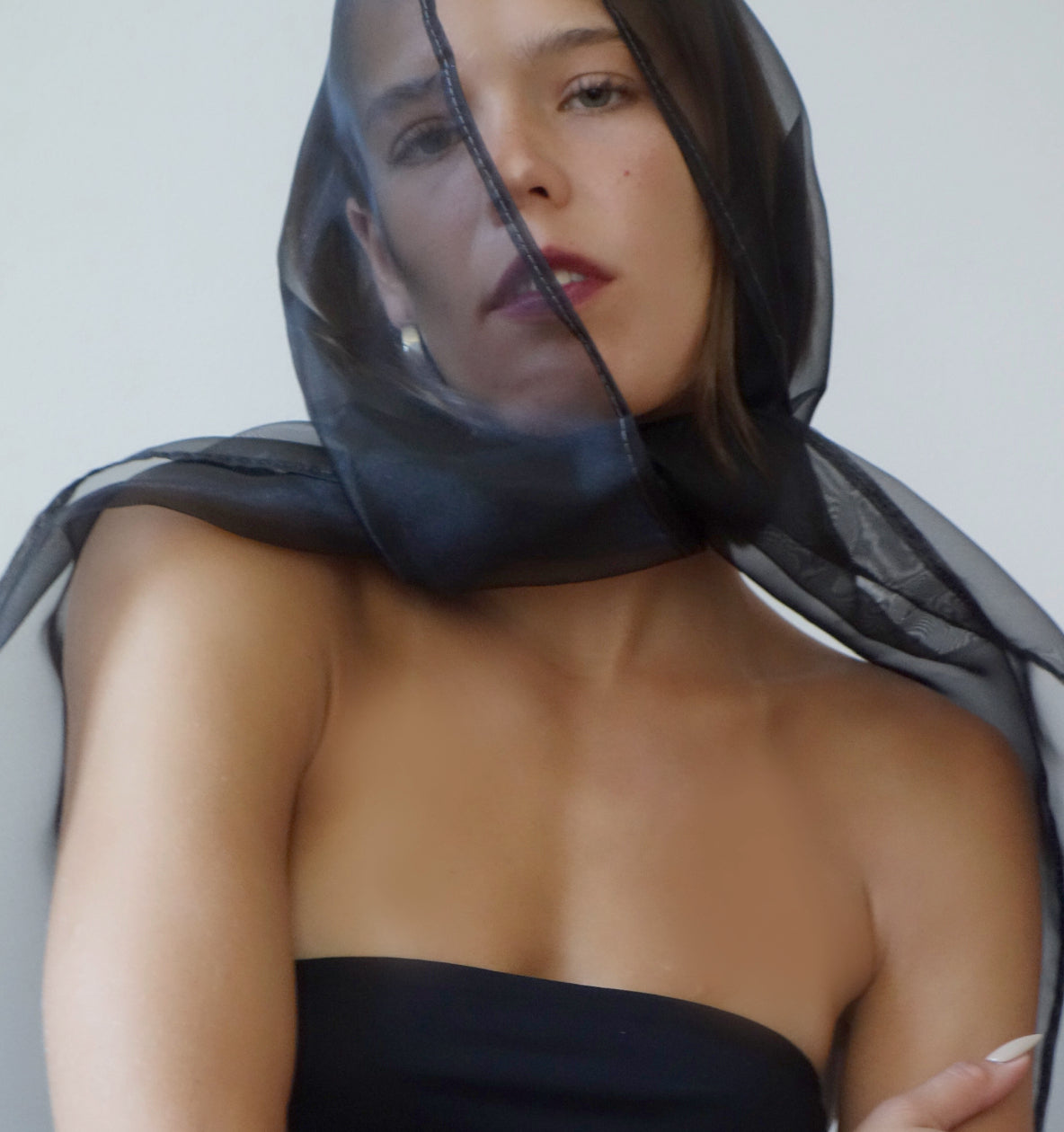 invisible encore scarf/hood