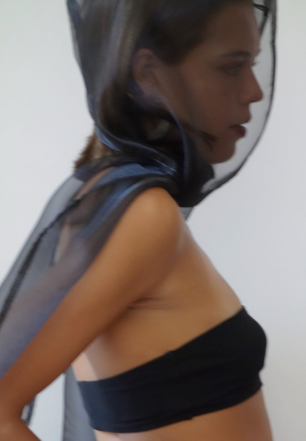invisible encore scarf/hood