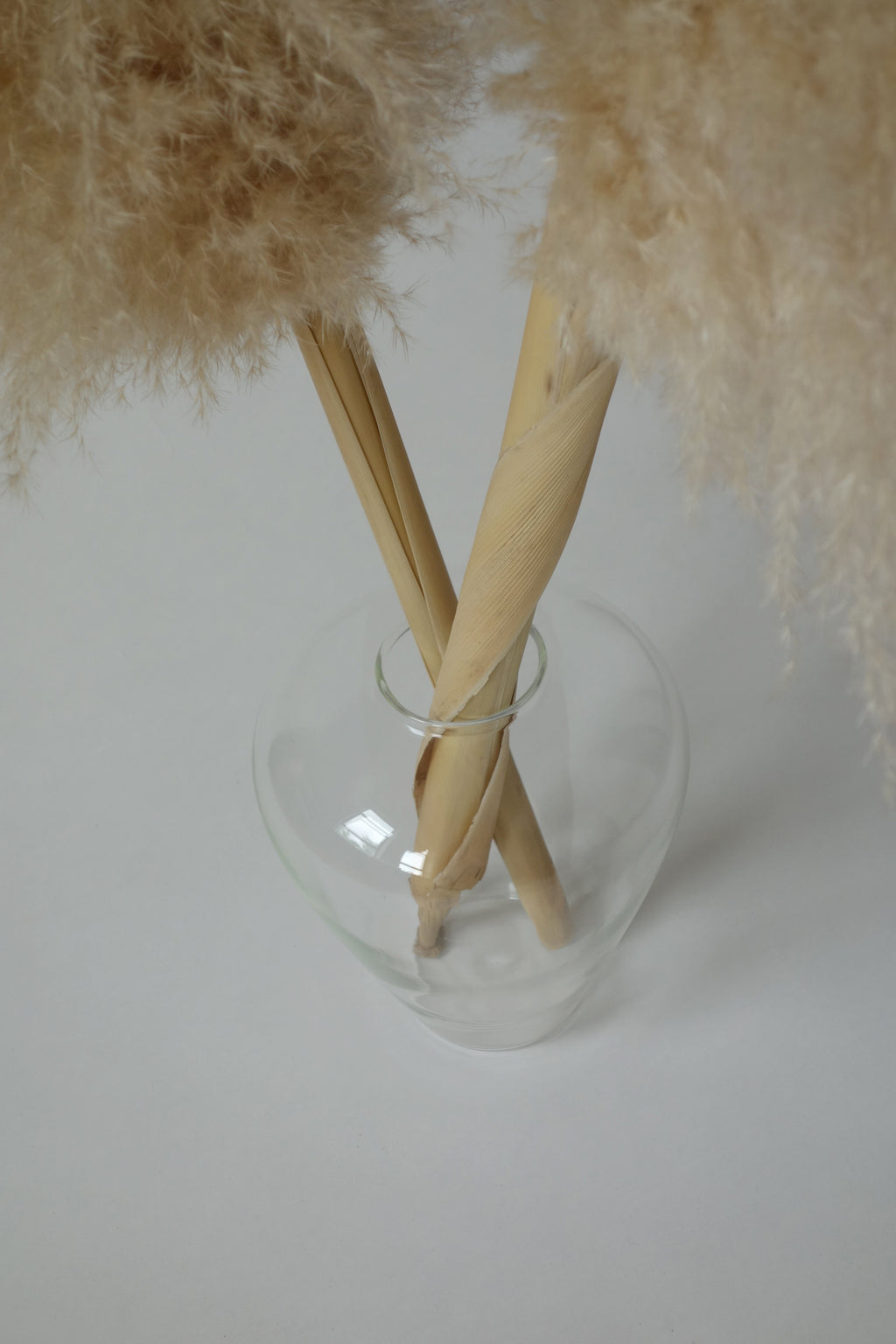 Clear glass vase with dried pampas grass and sticks on a white background