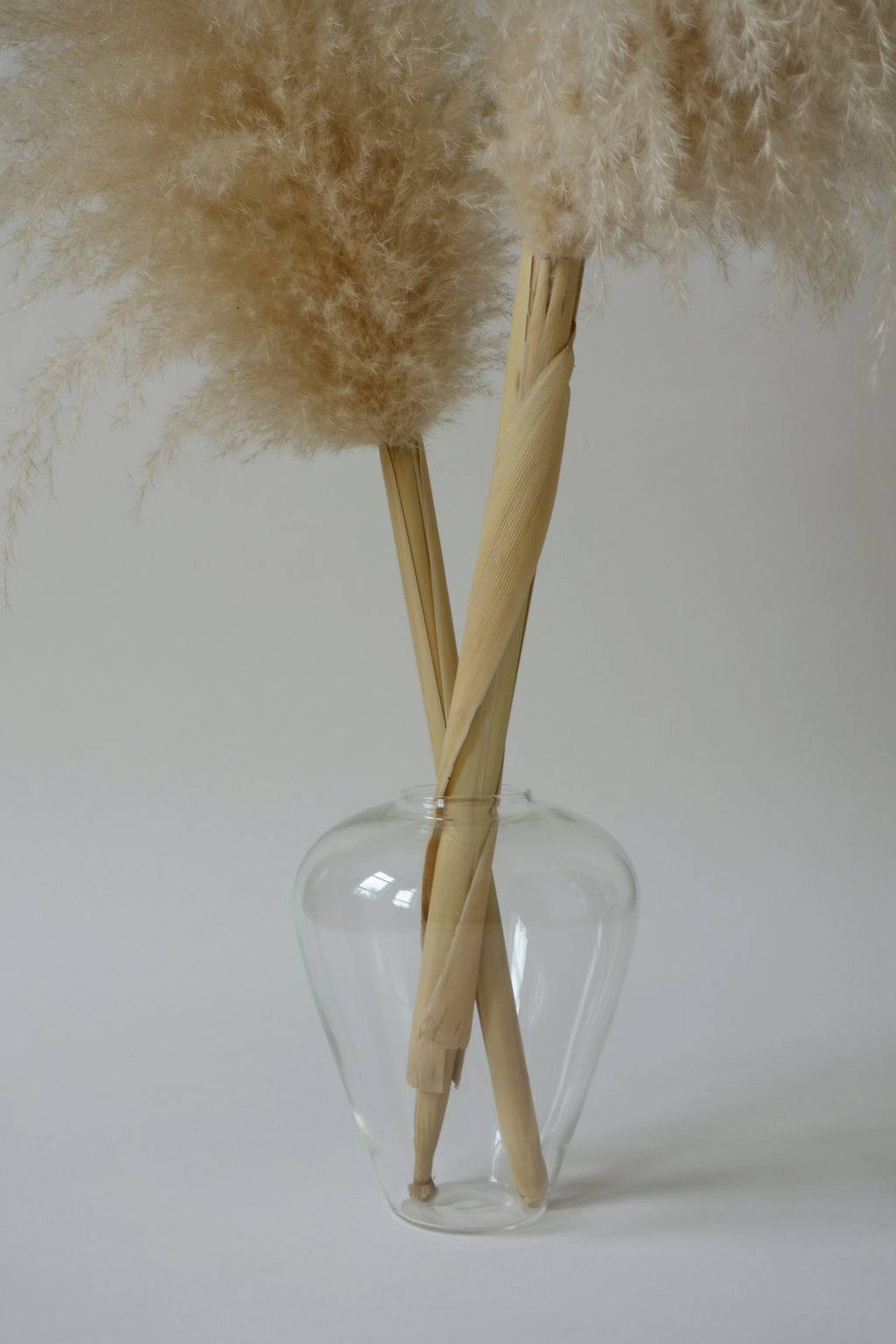 Clear glass vase with dried pampas grass against a plain background
