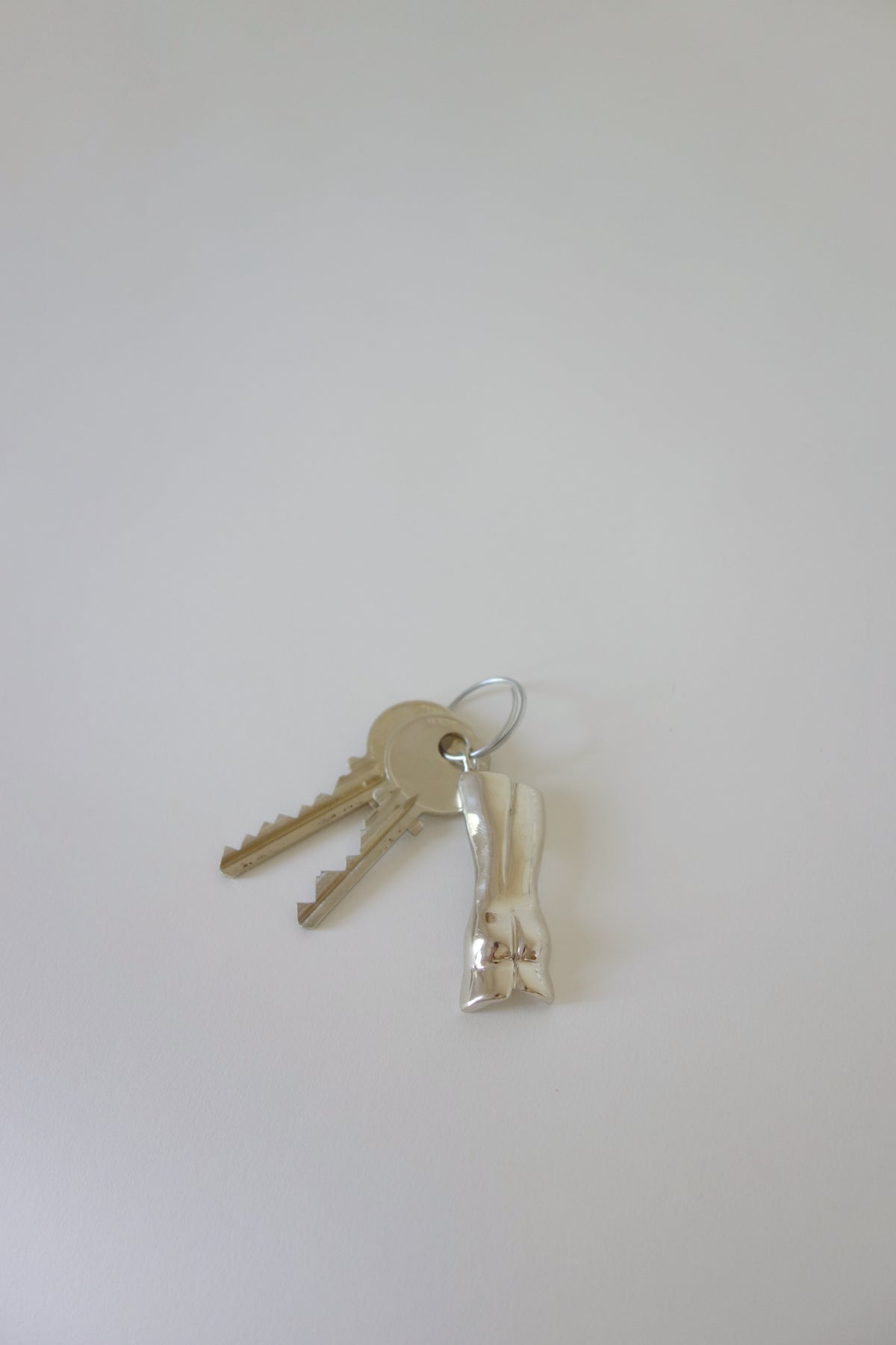 Two keys attached to a silver keychain on a white background